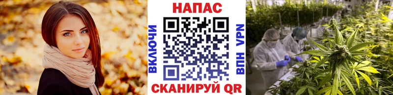 Марихуана конопля  где можно купить наркотик  Кумертау 